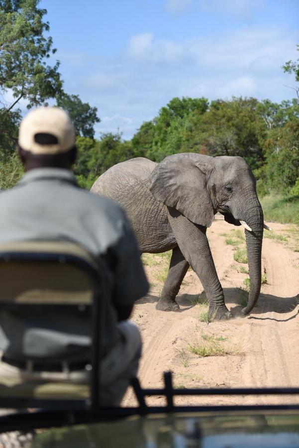 Shumbalala Game Lodge Rezervația naturală și safari Thornybush Exterior foto