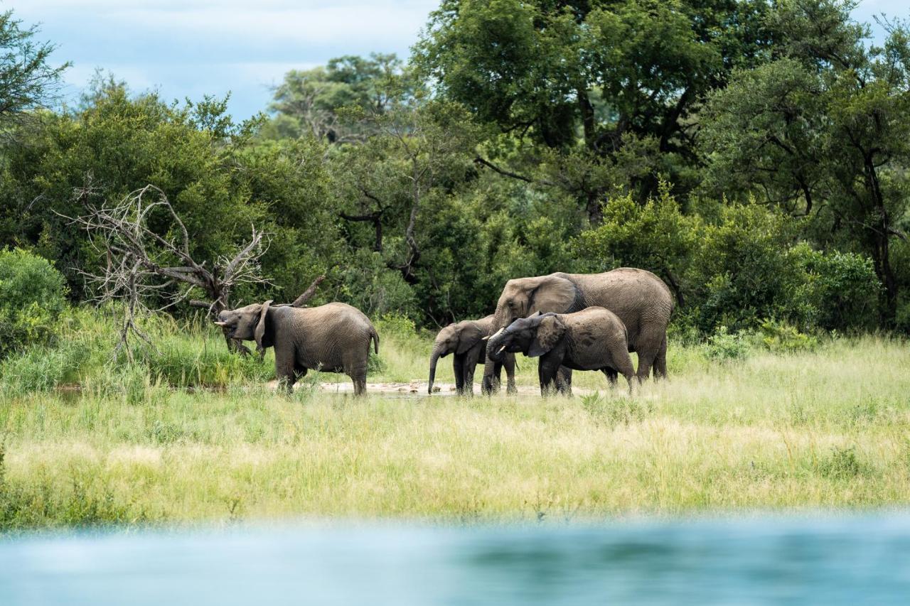 Shumbalala Game Lodge Rezervația naturală și safari Thornybush Exterior foto