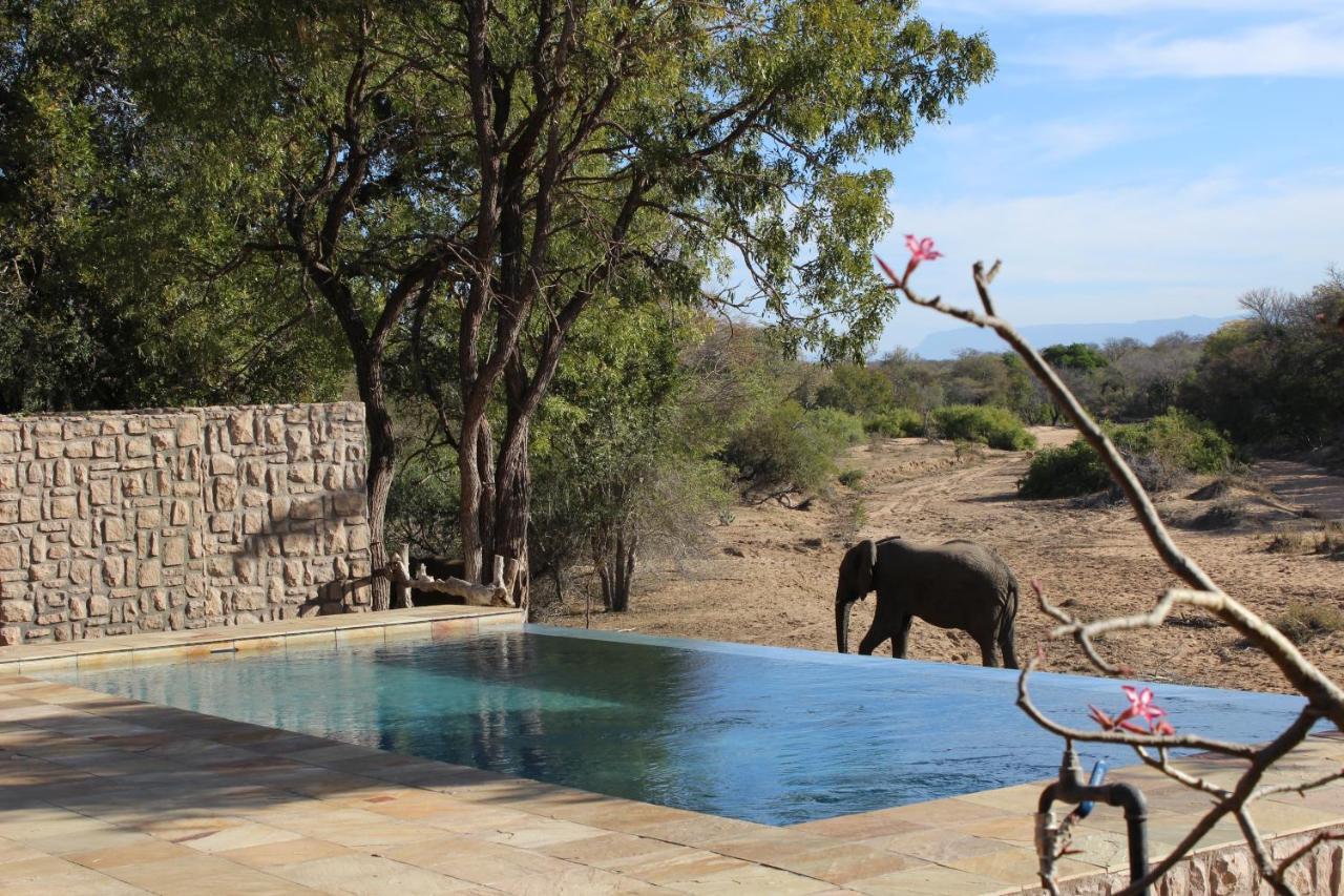 Shumbalala Game Lodge Rezervația naturală și safari Thornybush Exterior foto